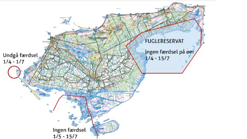 Fuglebeskyttelsestider Læsø