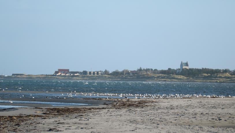 Trailløb Lys i Mørket 2025 2 - Lones powerwalk