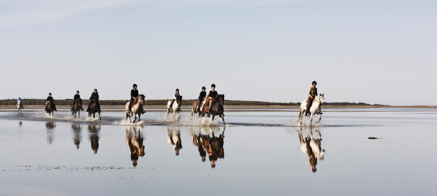 Galop på rønnerne