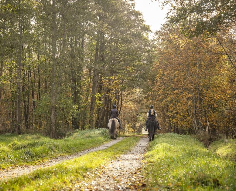 efterår, Vesterbrofotograferne