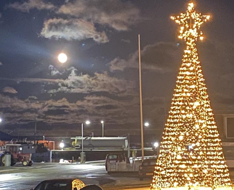 Juletræ Østerby Havn på Læsø - foto Huset Palsgaard